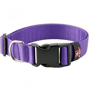 Arppe Collar de Nylon Basic Púrpura XL