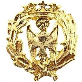 Inmaculada Romero IR Insignia Profesional Enfermería Escudo Plata 925m Ley 16mm. Pin Chapado Oro Cierre Trasero Latón Dorado