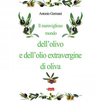 Il meraviglioso mondo dell'olivo e dell'olio extravergine d'oliva