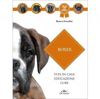 Boxer: Vita in casa