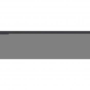 László Fehér. Catalogo della mostra. Ediz. italiana, francese e inglese