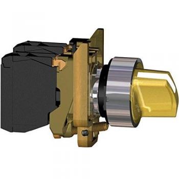 Interruptor selector 2 posiciones roscado Schneider Electric