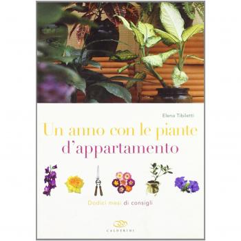 Un anno con le piante d'appartamento. Dodici mesi di consigli
