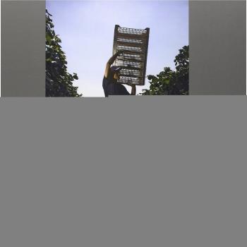 Vite. Il mondo del vino in scena. Ediz. italiana e inglese