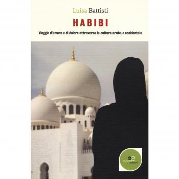 Habibi. Viaggio d'amore e di dolore attraverso la cultura araba e occidentale