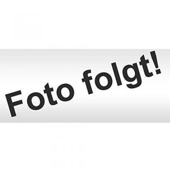 Lizenz / LANCOM Fax Gateway Option / with