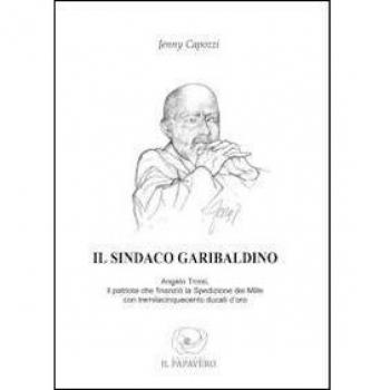 Il sindaco garibaldino. Angelo Troisi, il patriota che finanziò la spedizione dei Mille con tremilacinquecento ducati d'oro