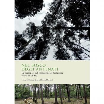 Nel bosco degli antenati. La necropoli del Monsorino di Golasecca (scavi 1985-86)
