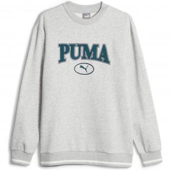 Sudadera Puma Squad Fl Gris Hombre