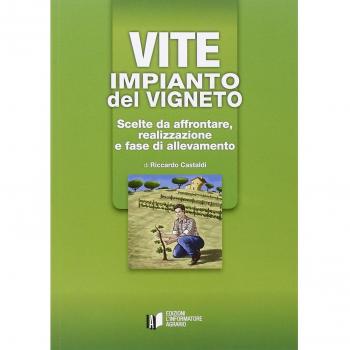 Vite: impianto del vigneto. Scelte da affrontare, realizzazione e fase di allevamento