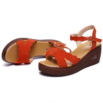 Creazione Naturale e Vita Viva