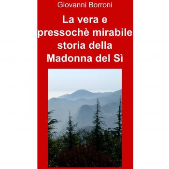 La vera e pressochè mirabile storia della Madonna del Sì