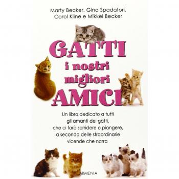 Gatti, i nostri migliori amici