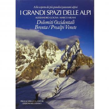 I grandi spazi delle Alpi. Ediz. illustrata. Dolomiti occidentali, Brenta, Prealpi Venete (Vol. 7)