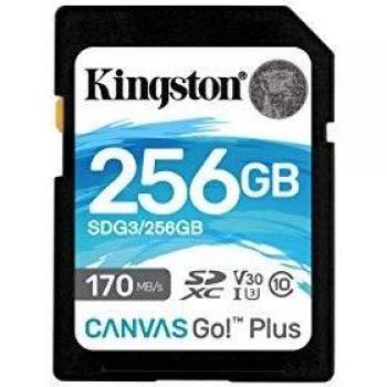 Kingston Canvas Go Plus 256GB SDXC