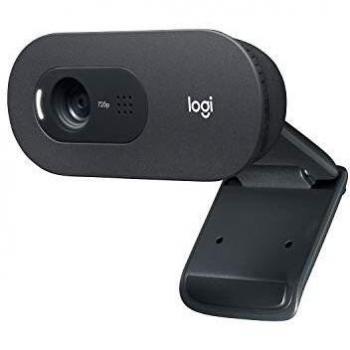 Logitech C505 HD Webcam