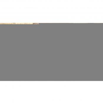 Luisa Amalia Paladini. Vita e opere di una donna del Risorgimento