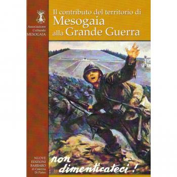 Il contributo del territorio di Mesogaia alla grande guerra. Atti dei convegni tenuti nel 2015 a Delianuova (4 agosto) e Oppido Mamertina (4 novembre)