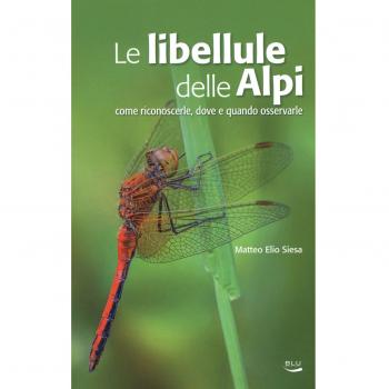Le libellule delle Alpi. Come riconoscerle, dove e quando osservarle. Ediz. a colori