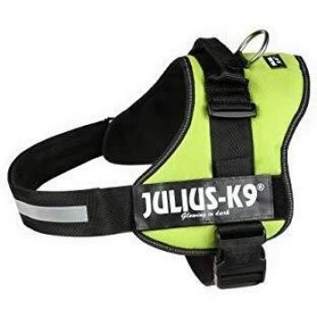 Julius-K9 162KW-3