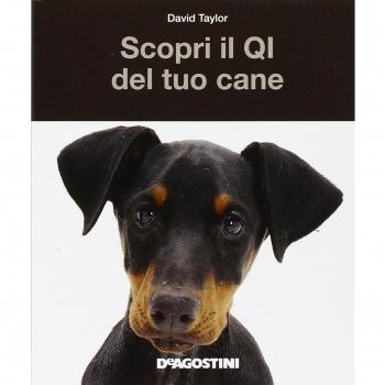 SCOPRI IL QI DEL TUO CANE