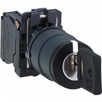 Interruptor selector 2 posiciones Schneider Electric