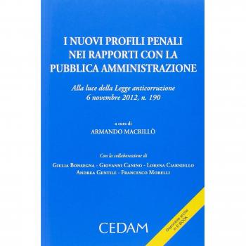 Nuovi profili penali nei rapporti con la pubblica amministrazione