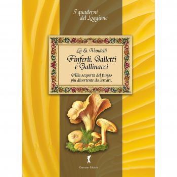 Finferli, galletti e gallinacci. Alla scoperta del fungo più divertente da cercare