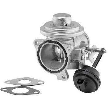 Válvula EGR WAHLER 7293D/1