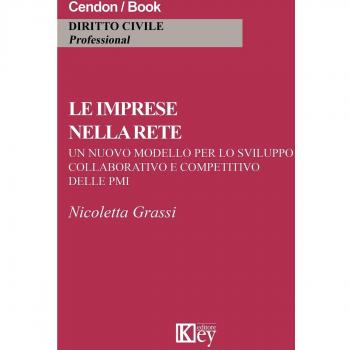 Le imprese nella rete. Un nuovo modello per lo sviluppo collaborativo e competitivo delle PMI