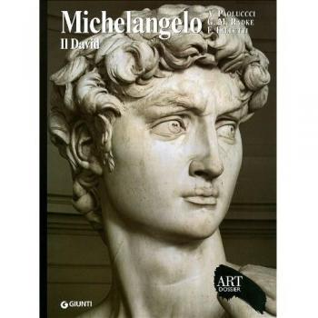 Michelangelo. Il David. Ediz. illustrata