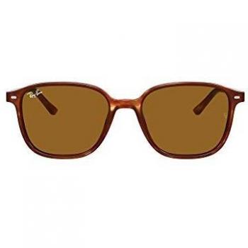 Ray-Ban Leonard Gafas de Sol RB 2193 954/33