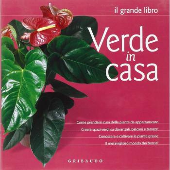 Il verde in casa