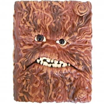 Il libro segreto dei maghi. Ediz. plastificata