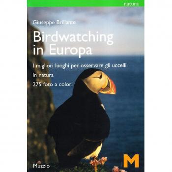 Il birdwatching in Europa. I migliori luoghi per osservare gli uccelli