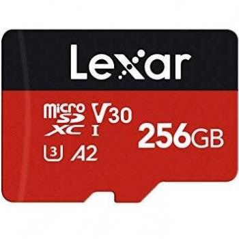 Scheda Micro SD Lexar 256 GB