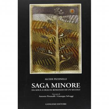 Saga minore. Da Adua ad oggi il romanzo di un secolo