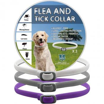 Succión Antipulgas Collar Perro