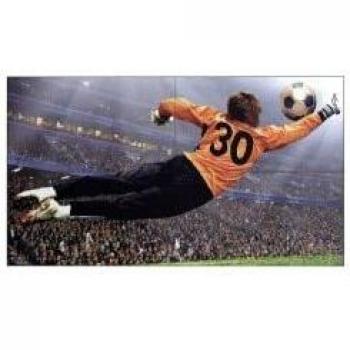 LG 49 LED IPS, 1920X1080, 16:9, 500 NIT, 1000:1, 8MS 49VL5G-M.AEU