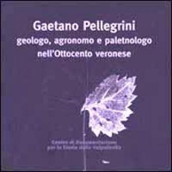 Gaetano Pellegrini geologo, agronomo e paletnologo nell'Ottocento veronese. Atti del Convegno