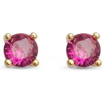 Pendientes Otieno de Plata 925 con Circonita Rubí y Acabado Oro 18K