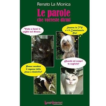 Le parole che vorreste dirmi