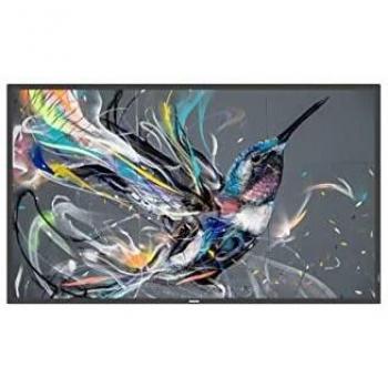 Dis Public 43 Philips compatible 43BDL3511Q/00 Q-Line