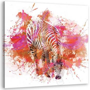 Cuadro Colorido de Cebra 30x30