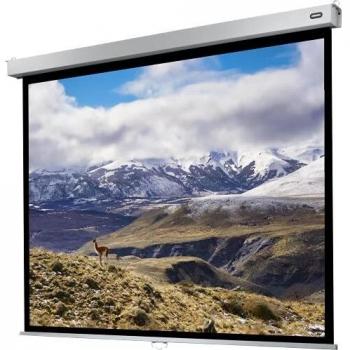 Celexon Schermo Portatile 1090782 Formato 4:3 Nero