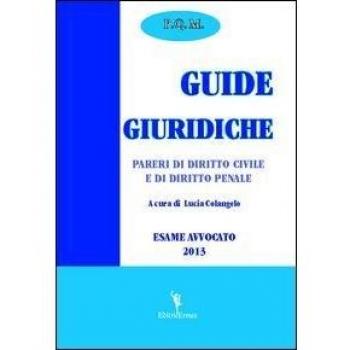 Guide giuridiche. Pareri di diritto civile e di diritto penale