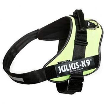 Julius-K9 16IDC Power Harness
