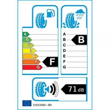 Neumático de Verano Nankang NS-2R (180-Medium) XL