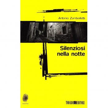 Silenziosi nella notte