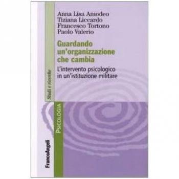 Guardando un'organizzazione che cambia. L'intervento psicologo in un'istituzione militare